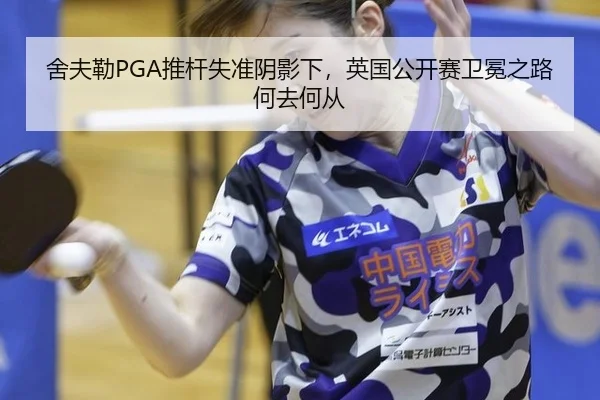 she-fu-lei-tui-gan-shi-zhun-yin-ying-xia-ying-guo-gong-kai-sai-wei-mian-zhi-lu-he-qu-he-cong-3-759.jpg